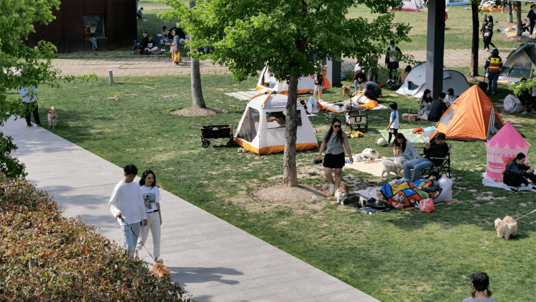 建築漫遊地圖 | 黃浦江_上海市_空間_景觀