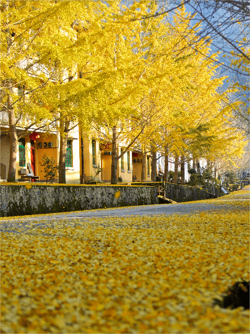 韶關a級景區全攻略!好玩又有儀式感_地址_廣東_旅遊