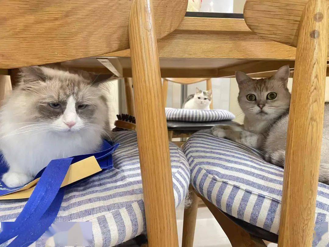 三是情感突然细腻了.