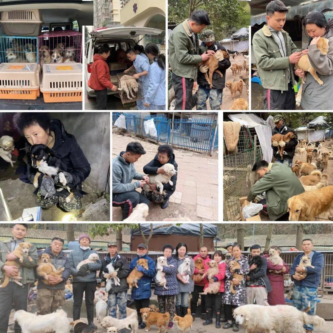 流浪動物最有效的方式愛之家無論面對多大的困難為了基地工人及各位善