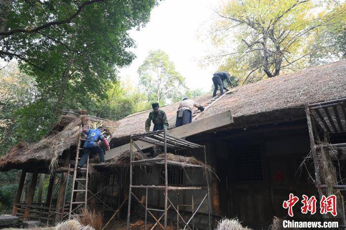 記者 安源 攝隨著時間流逝,杜甫茅屋屋頂的茅草會因日曬雨淋越來越薄.