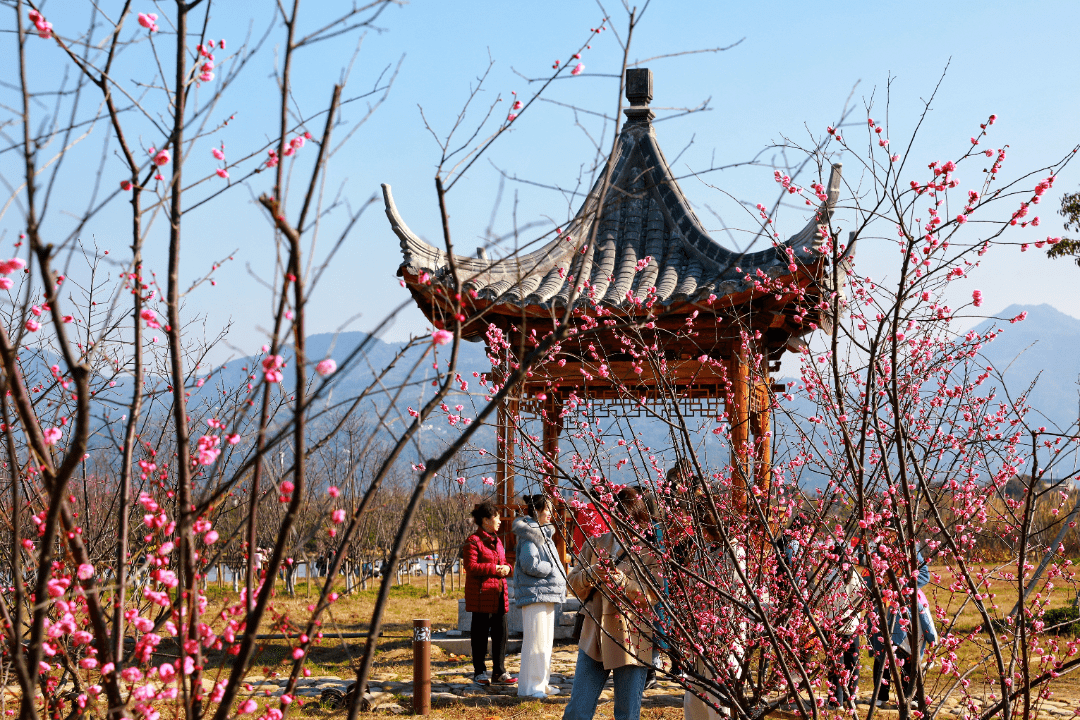 這份「溫州2024年遊玩月曆」,夠用一整年!_瑞安_文化_街區