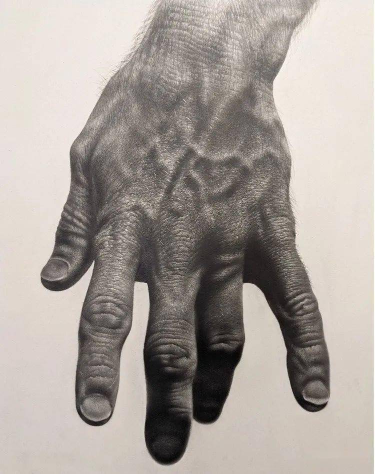 素描大神67杰西·斯特恩,超强的手部素描!_smdsart_作品_网络