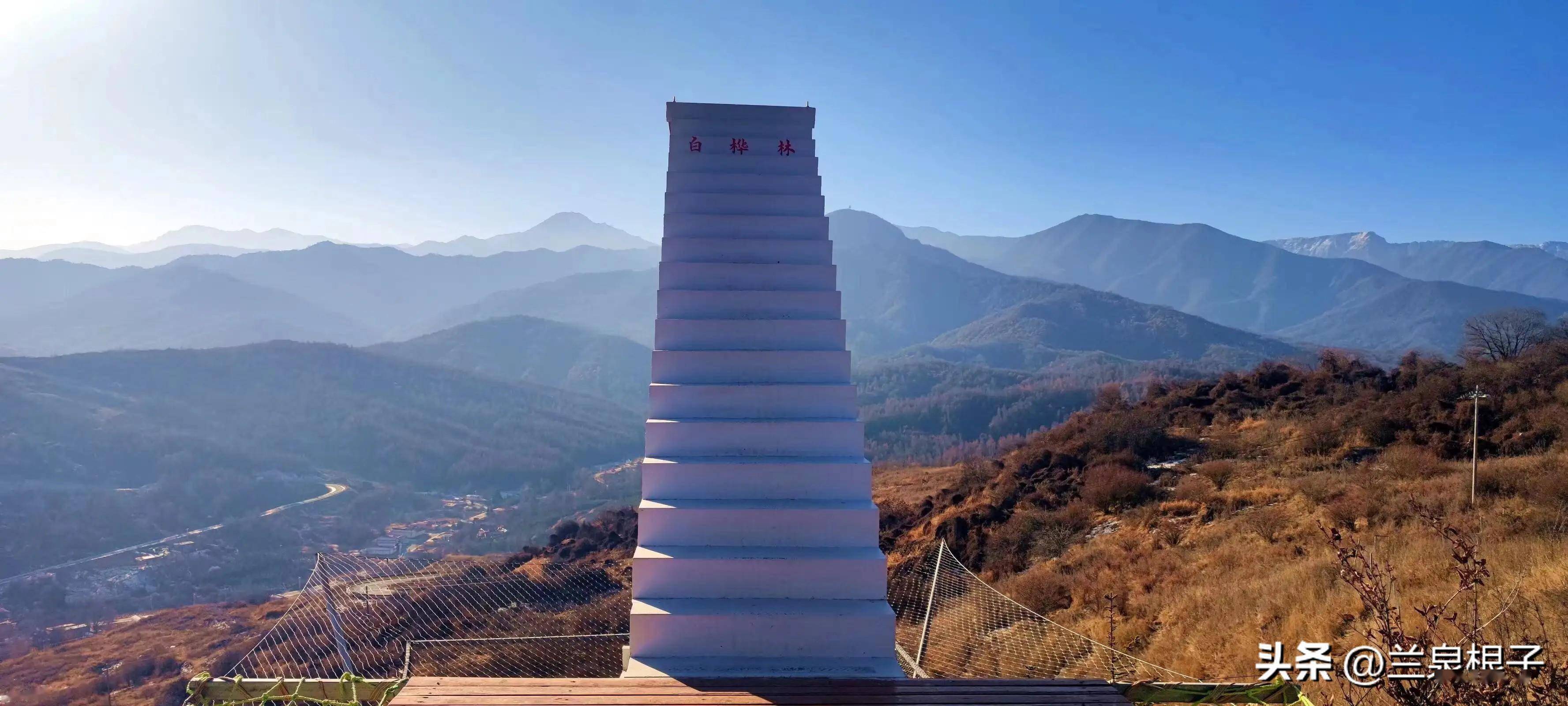 冬日的康乐白桦林景区,接纳着不少寻梦的人.