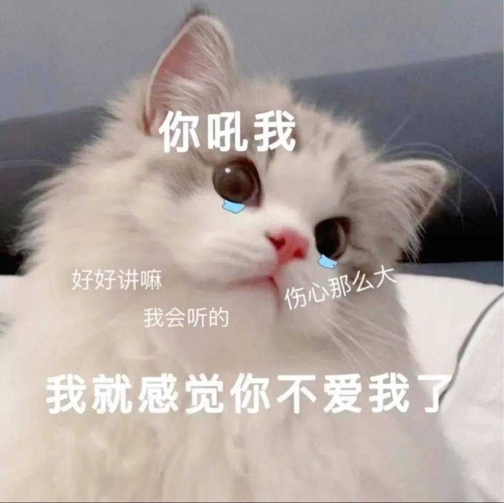 超撩人的猫咪情侣表情包 勾引到我了