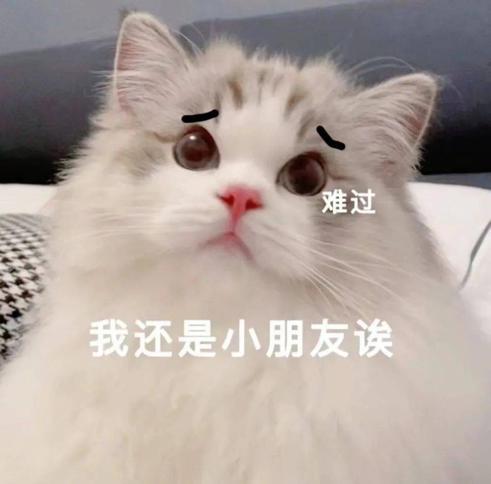 超撩人的猫咪情侣表情包 勾引到我了