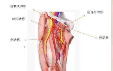 抽不出血別驚慌,趕緊試試這個方法_動脈_患者_搏動