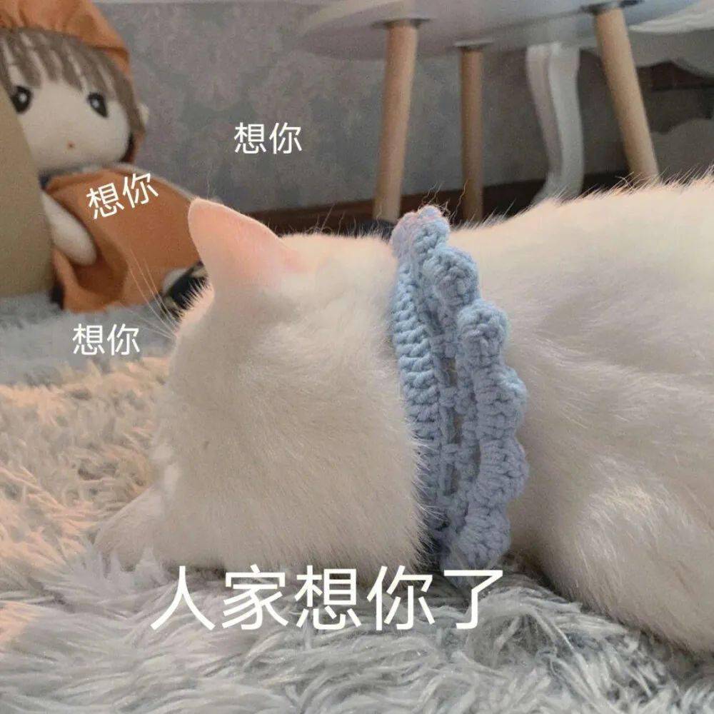 超撩人的猫咪情侣表情包 勾引到我了