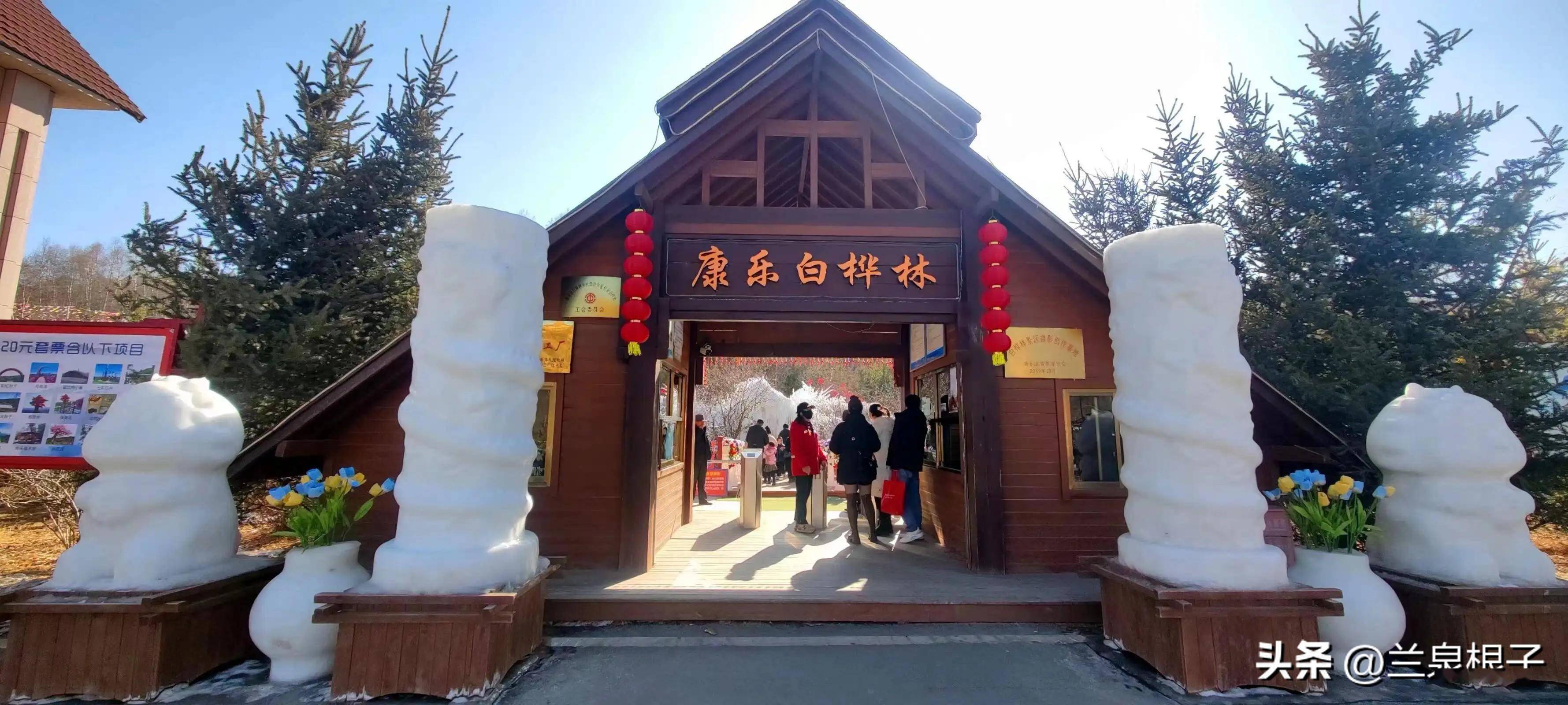 冬日的康乐白桦林恰似童话世界_色彩_景区_寻找