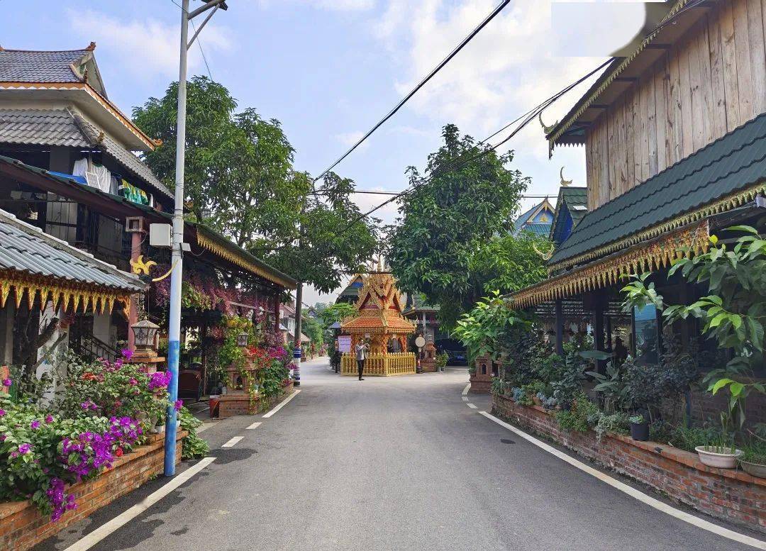 近年来,景洪市勐养镇城子村委会曼洪村小组在"绿美乡村"建设中持续