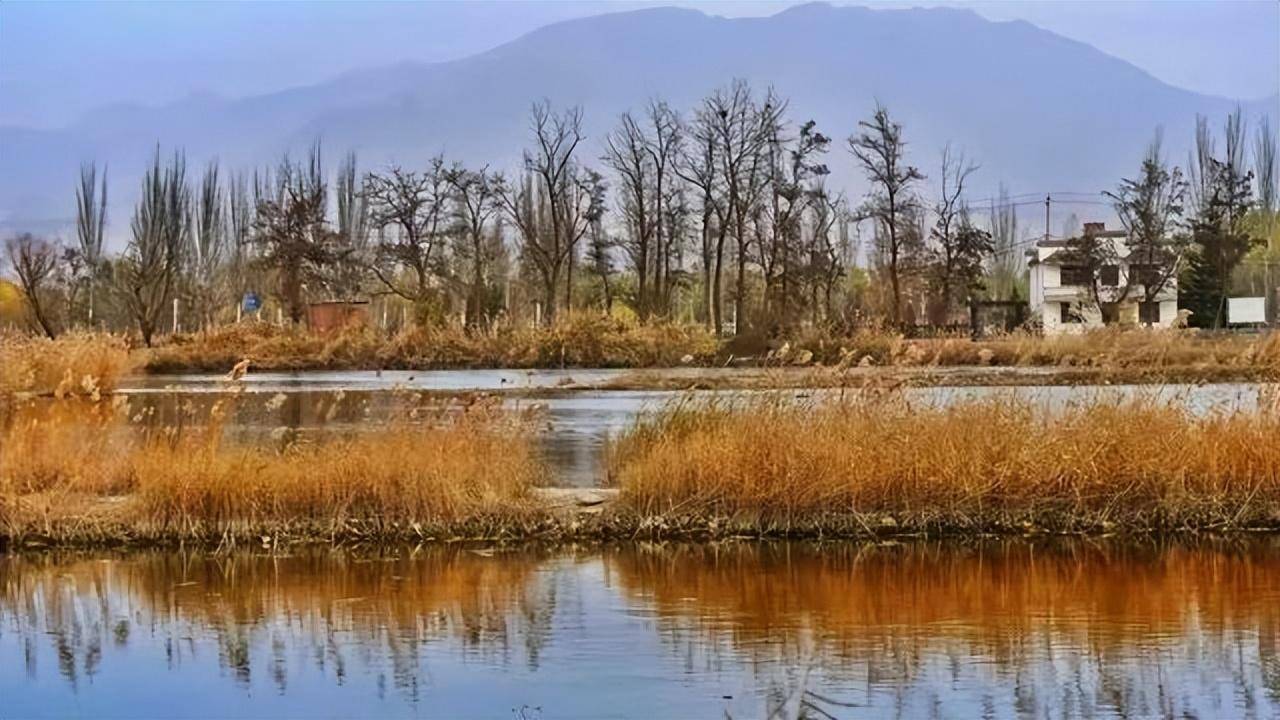 十,太极岛湿地公园1,太极岛观光电瓶车:原价30元/人,现价15元/人.