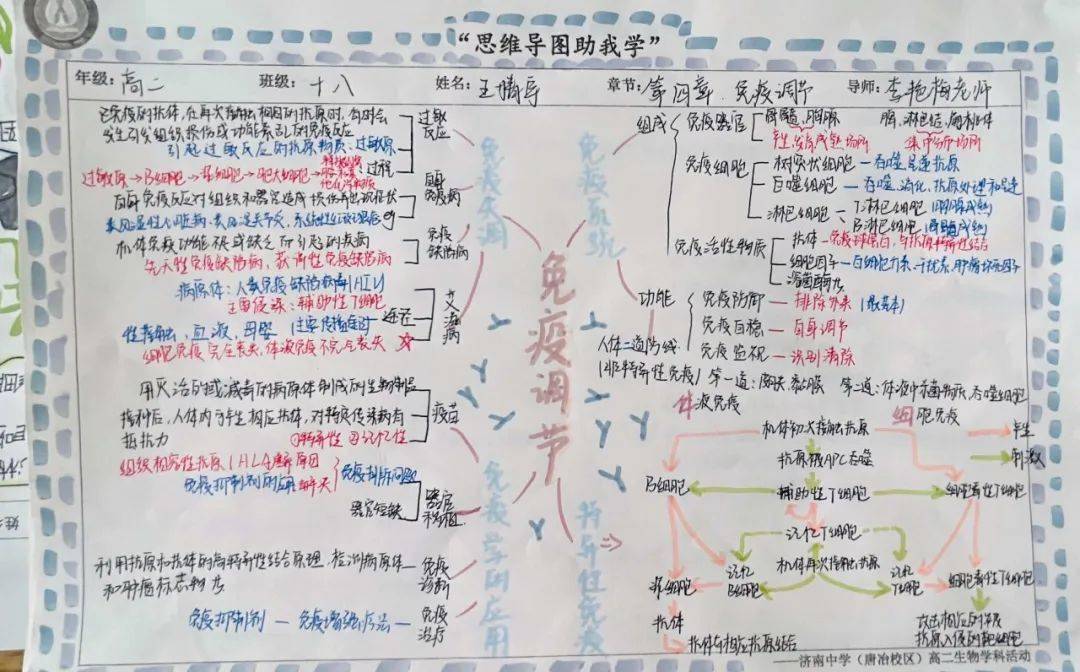 生物組組織開展建構思維導圖活動,進行歸納,整理,建構,在實踐中鞏固