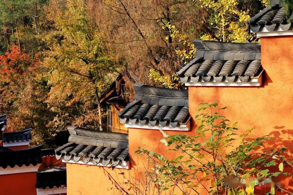 天台赤城山紫云洞设计篇: "鸡子壳"里做道场!